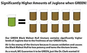 #1 Strength Green Black Walnut Hull Tincture - Always Health