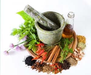 Herbs