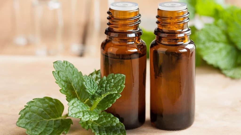 Peppermint Essential Oil