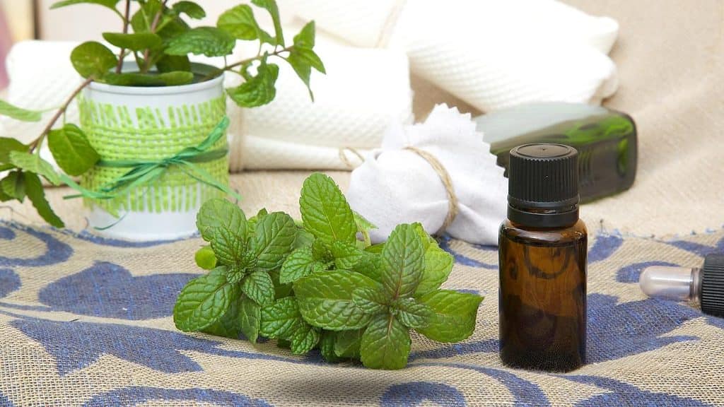 Peppermint Essential Oil